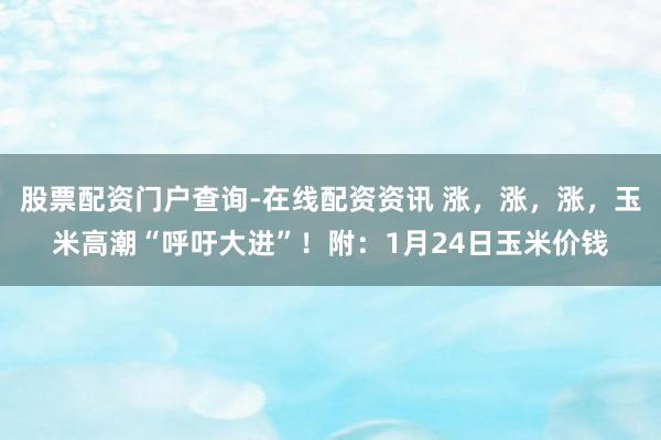 股票配资门户查询-在线配资资讯 涨，涨，涨，玉米高潮“呼吁大进”！附：1月24日玉米价钱